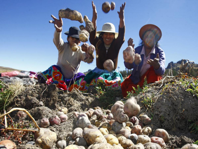 Día del Campesino: ¿Cómo les afecta la crisis económica?