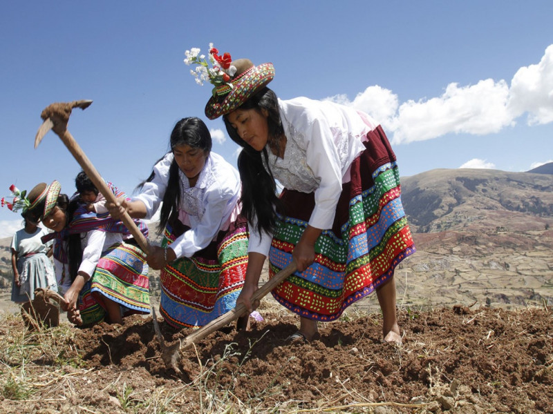 Día del Campesino: ¿Cómo les afecta la crisis económica?
