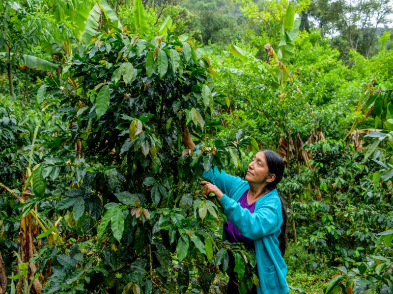 Alrededor de 5000 agricultores se abastecen de agua gracias a la conservación de su biodiversidad.
