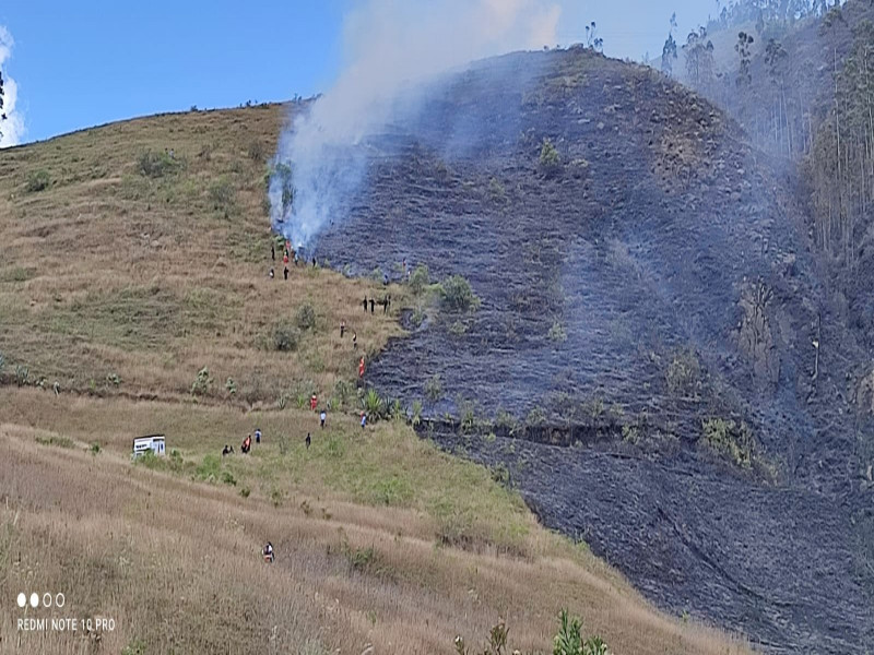 Lo que el fuego se llevó.