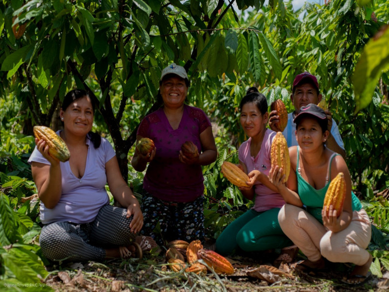 Bionegocios amazónicos podrán acceder a $20 000 000 en créditos financieros