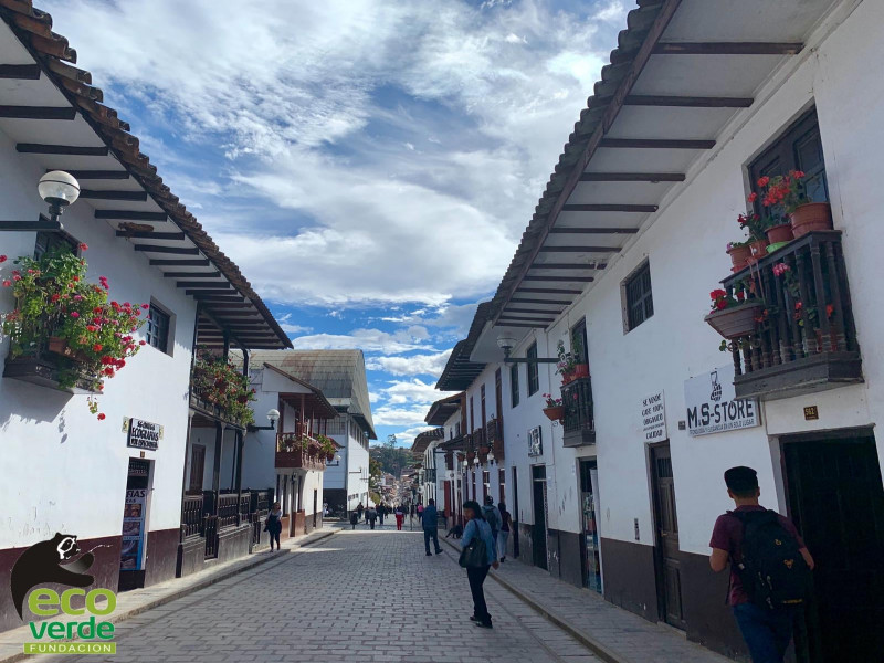 Se inicia la Fiesta de las Flores en Chachapoyas