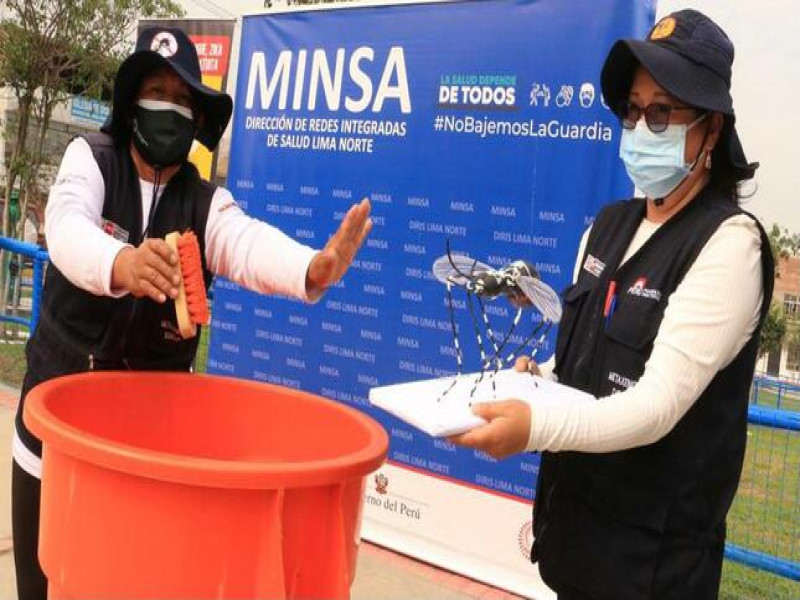 Dengue: Cómo ataca, sus síntomas y recomendaciones para prevenirlo