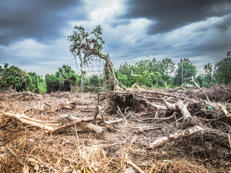 Cambio climático: un monstruo imparable que amenaza a la humanidad