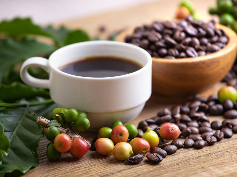 INACAL ELABORÓ 43 NORMAS TÉCNICAS PERUANAS PARA IMPULSAR LA CALIDAD DEL CAFÉ Y LLEGAR A NUEVOS MERCADOS