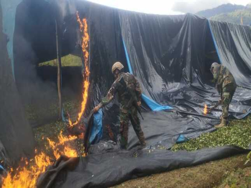 Amazonas: Fiscalía Antidrogas logra en operativo el decomiso de 800 kg de sulfato de cocaína y la destrucción de un laboratorio clandestino