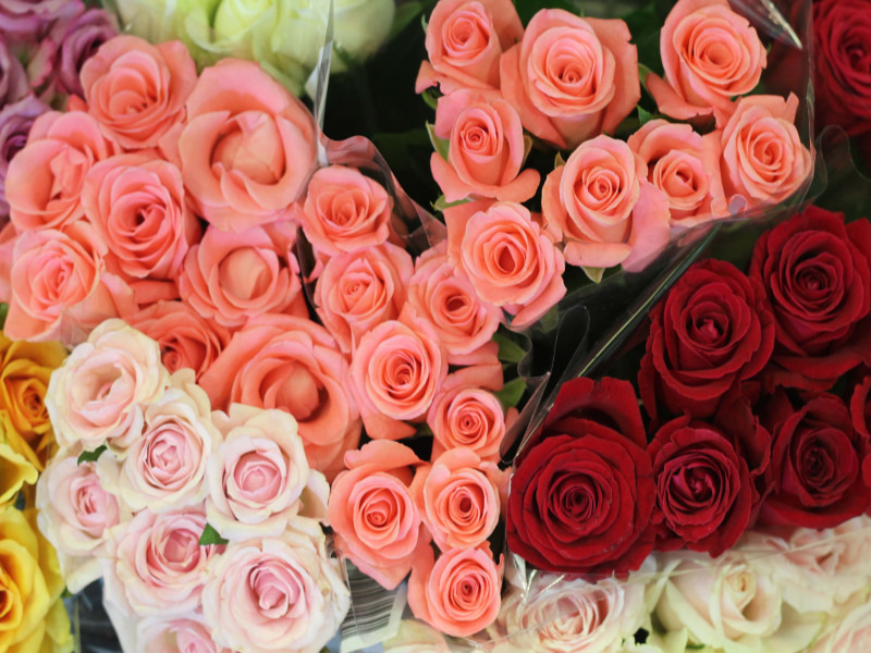 Celebra San Valentín con regalos seguros y de calidad