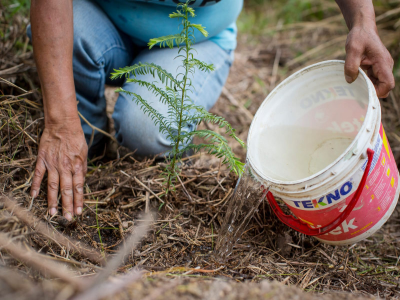 Proyecto Oxapampa presente en la celebración del 14º Aniversario de la Reserva de Biósfera Oxapampa Asháninka – Yánesha con avances significativos en la Conservación