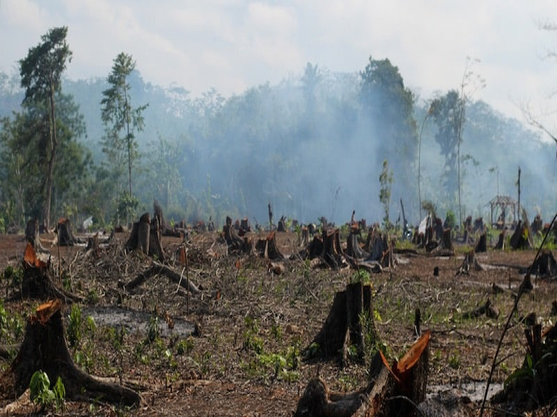 Naciones Unidas: el 40 % de las tierras del planeta están deterioradas