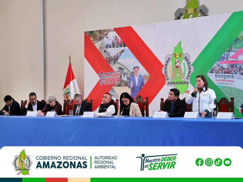 AUTORIDADES REGIONALES, LOCALES, ORGANISMOS DE COOPERACIÓN, ACADEMIA Y SOCIEDAD CIVIL FIRMAN DECLARACIÓN CONJUNTA PARA LA GESTIÓN SOSTENIBLE DE LOS BOSQUES DE AMAZONAS Y LUCHA CONTRA LA DEFORESTACIÓN.