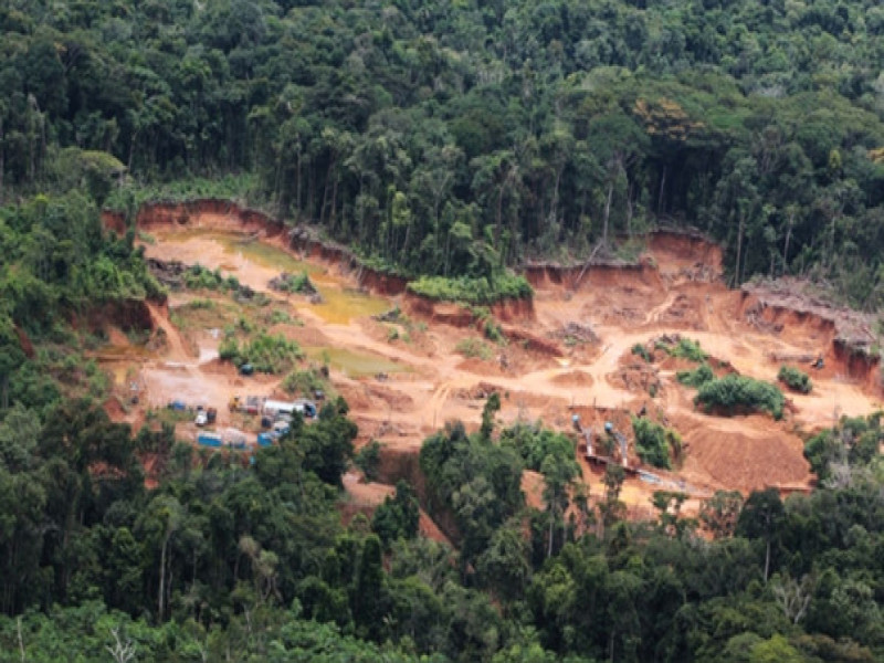 Ríos Cenepa y Santiago: nuevas rutas de la minería ilegal en la Amazonía norte.
