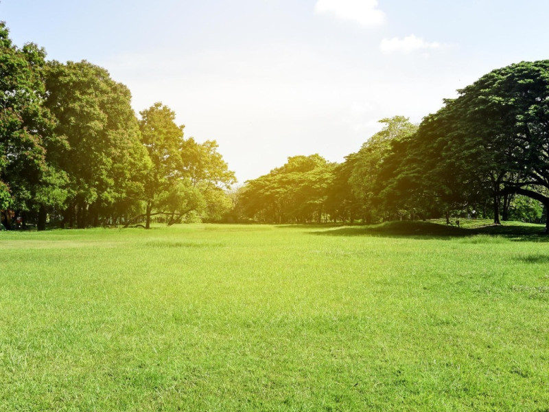 Ciudad gris, ciudad verde.