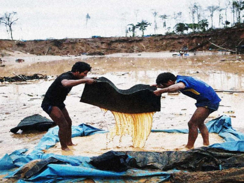 Minería ilegal desvía a miles de escolares de las aulas hacia las minas