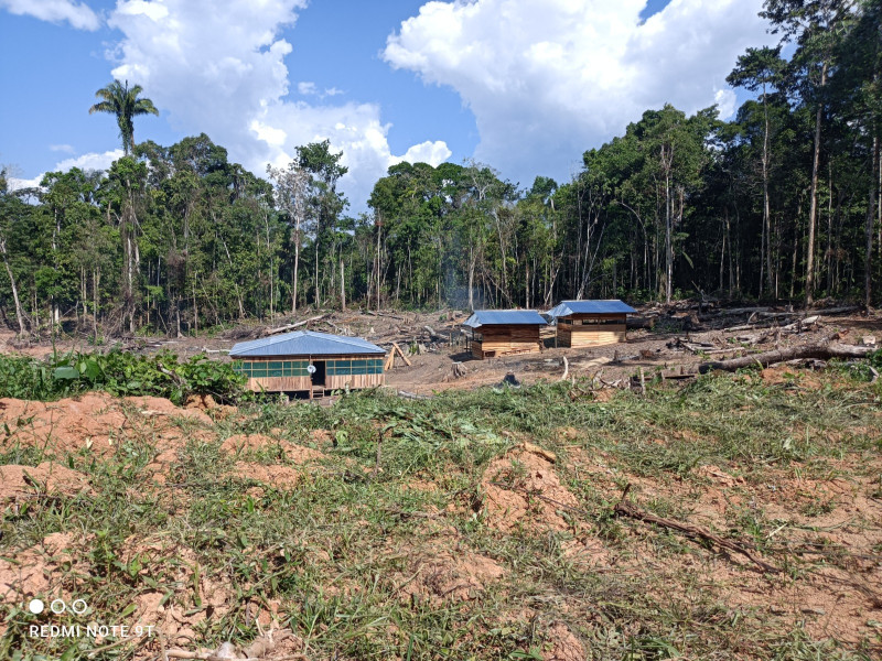 Chancay y la Amazonía: una oportunidad que podría abrir paso a la deforestación y economías ilegales